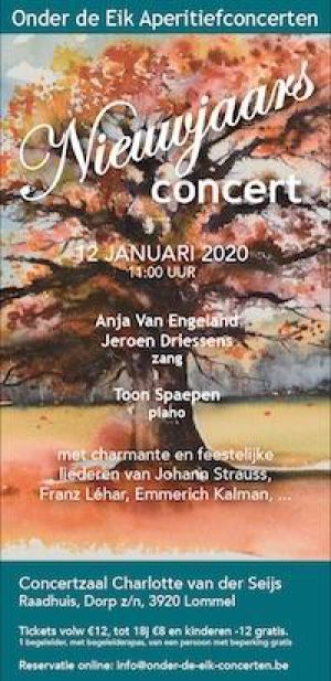 Nieuwjaarsconcert