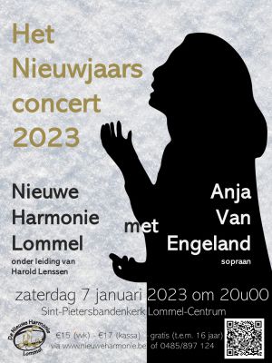 Leuven Zomerconcerten Orgel+